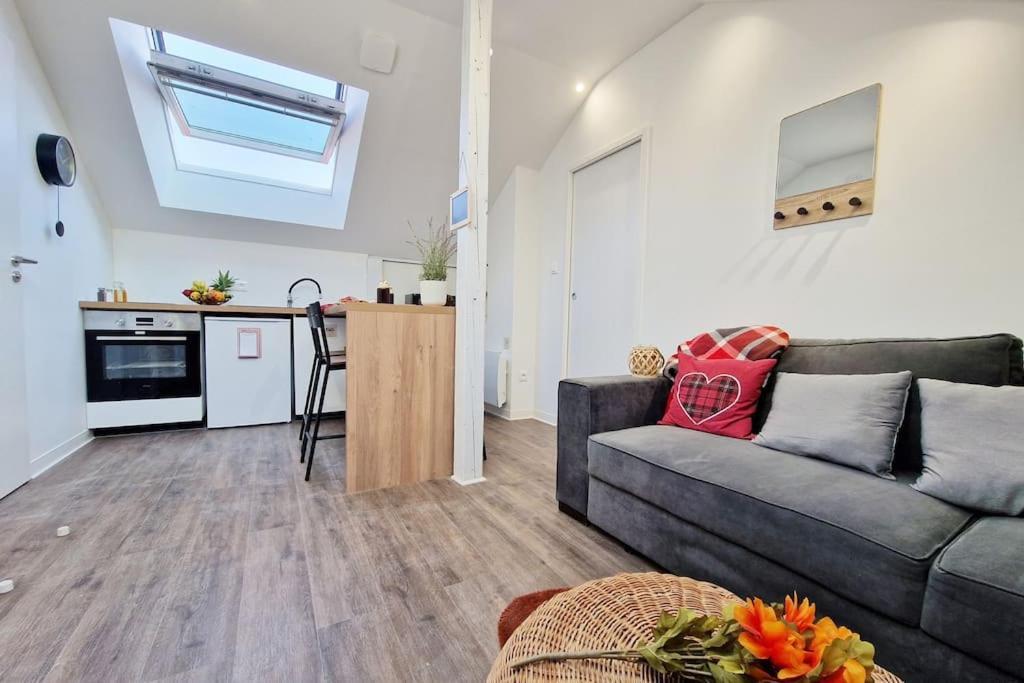 Le Ciel Etoile, Appartement Belfort